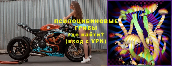 молекула духа Белокуриха